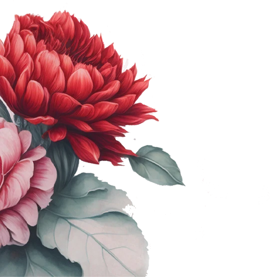 Bunga-Maroon-Premium-5.webp