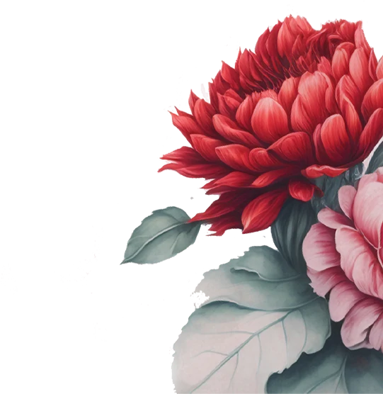 Bunga-Maroon-Premium-6.webp